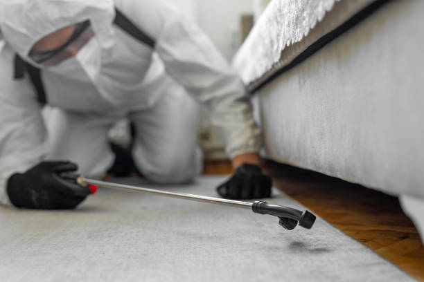 Professional Bed Bug Control technician working in Carrollton, AL
